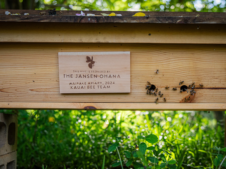 adopt a hive for world bee day