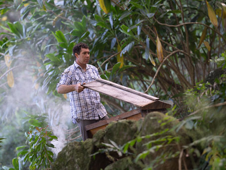 HOW TO BECOME A BEEKEEPER